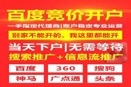 sem代运营公司成功案例：提升网站流量与转化率
